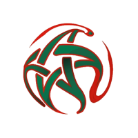 Botola Pro