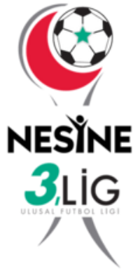 3. Lig - Group 3
