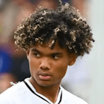 Aaron Malouda