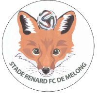 Stade Renard