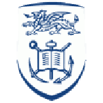 Swansea University