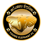 Young Elephant